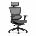 Ergonomic Mesh Office Chair with Adjustable Headrest and Armrests - Black